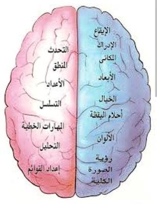 لماذا تنسي فجاه ما ستقوله وكان الفكره سقطت منك