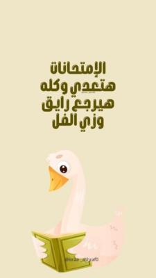 كيف تتعامل مع التوتر أثناء الاختبارات 
